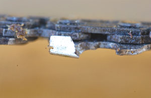 1a1ChainsawTT19