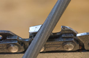 1a1ChainsawTT20