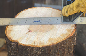 1a1ChainsawTT27