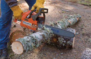 1a1ChainsawTT28